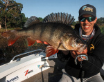 St. Croix Legend Tournament Bass - All In - 7'1 St. Croix Legend Tournament Bass - All In - 7'1